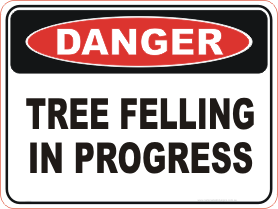 Tree Felling